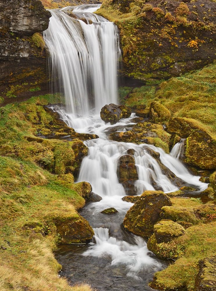 Sheep Falls-Iceland